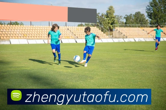 开云官网APP 高清赛事图